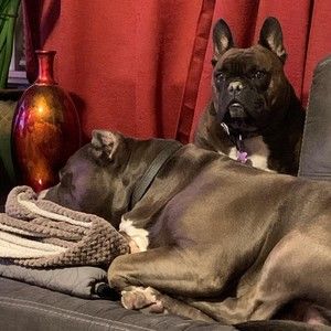 Meet your Posher, Kalia